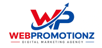 cropped-Web-Pro-Motionz-Logo.png